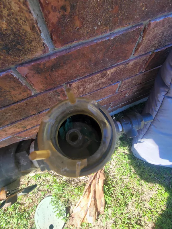 backflow picture